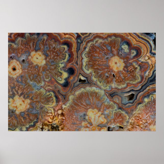 Poster Tube de floraison Onyx (Devant)