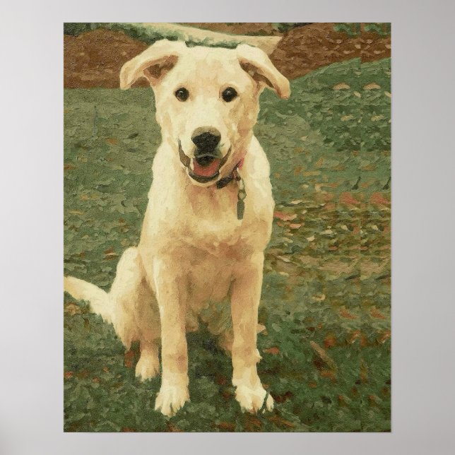 Poster Tucker  (Devant)