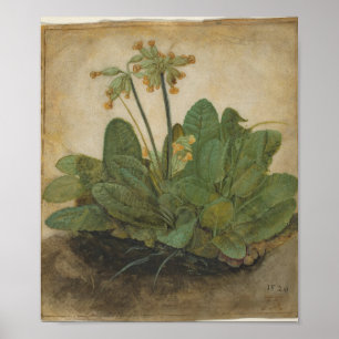 Poster Tuft of Cowslips by Albrecht Durer