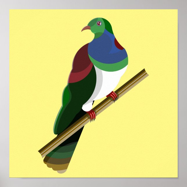 Poster Tui Kereru NZ Bird (Devant)