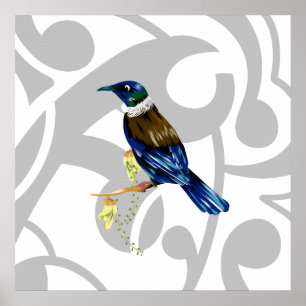 Poster Tui NZ Bird