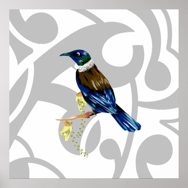 Poster Tui NZ Bird (Devant)
