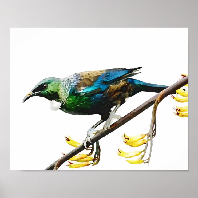 Poster Tui sur Flax Jaune (Devant)
