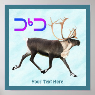Poster Tuktu - Caribou Sur Neige