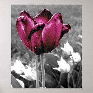 Poster Tulip Art