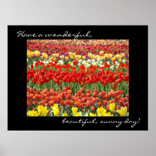 Poster Tulip Flower gravures Colorful WonderDay