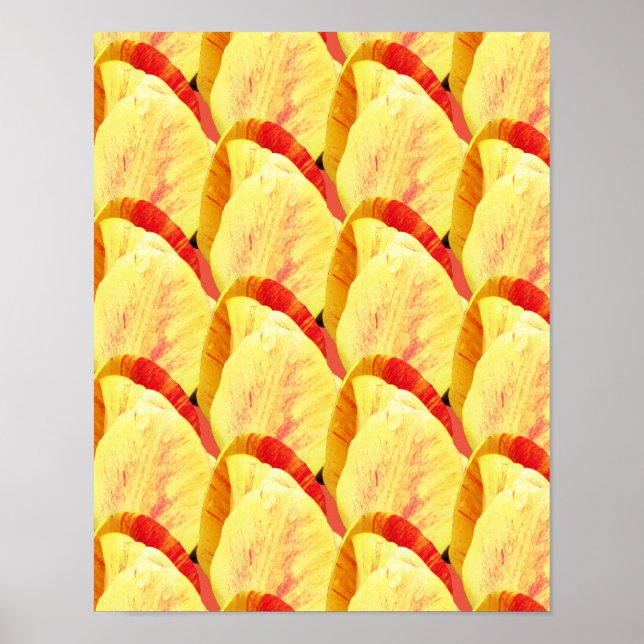 Poster Tulip Flowers Motif (Devant)