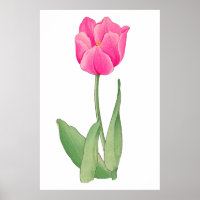 Tulip rose, art japonais vintage