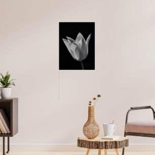 Poster Tulipe