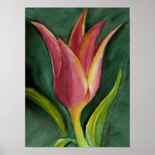 Poster Tulipe Blade