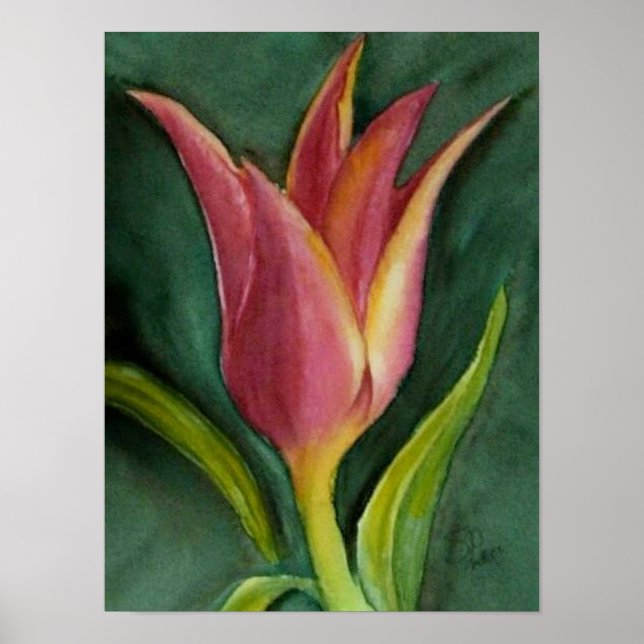 Poster Tulipe Blade (Devant)