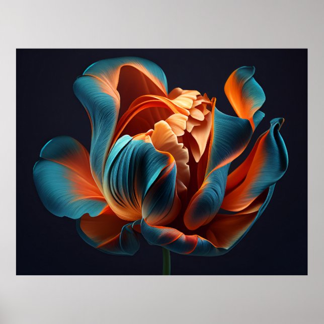 Poster Tulipe bleue et orange sur un Arrière - plan noir  (Devant)