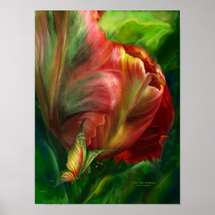 Poster Tulipe-Couleurs du paradis