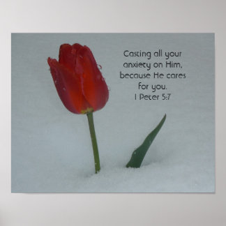 Poster Tulipe dans la neige