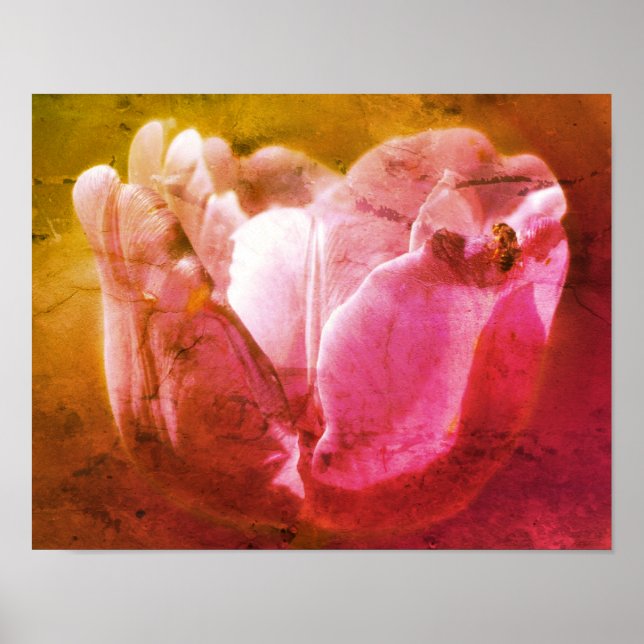 Poster Tulipe De Lavande Avec Petite Bee Distressed Art (Devant)