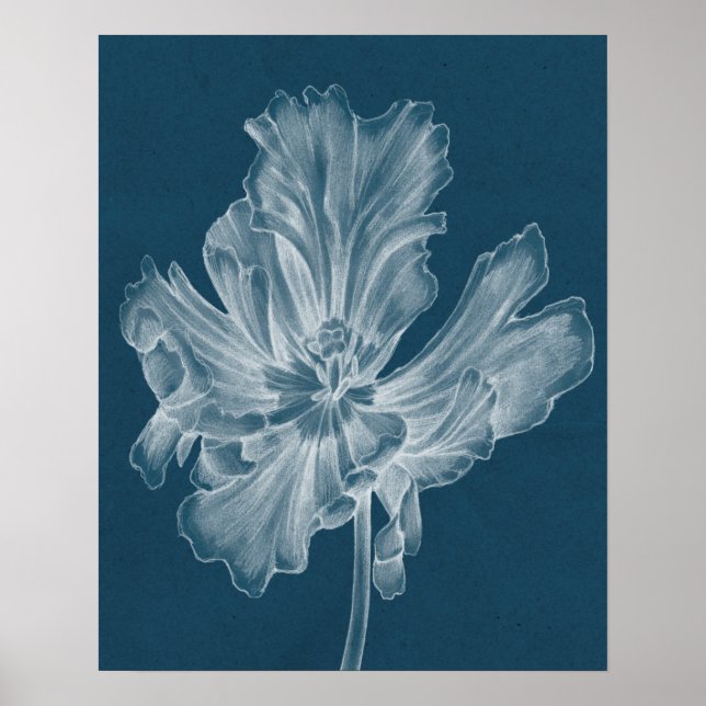 Poster Tulipe monochrome II (Devant)