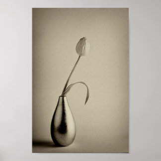 Poster Tulipe tonique sépia vieilli dans le vase