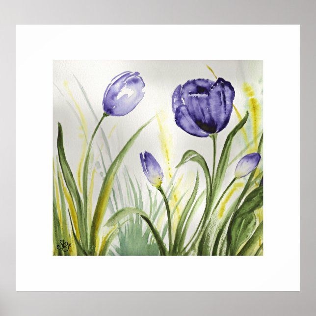 Poster Tulipes à ressort pourpre (Devant)