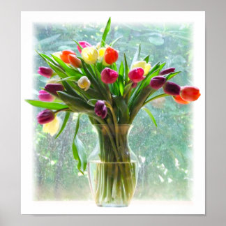 Poster Tulipes colorées