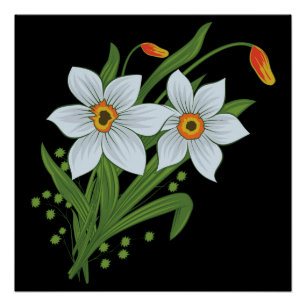 Poster Tulipes et jonquilles Fleurs Fond noir