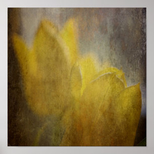 Poster Tulipes Jaunes Fleurs Art Floral Rustique