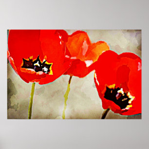 Poster Tulipes peintes de rouge de fleurs
