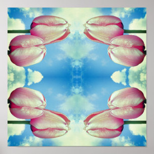 Poster Tulipes Roses Ciel Bleu Et Nuages Blancs Abstraits
