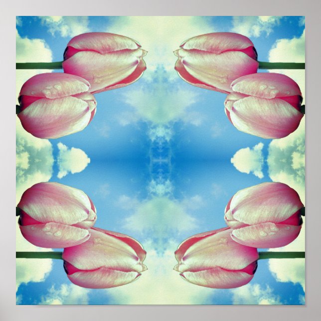 Poster Tulipes Roses Ciel Bleu Et Nuages Blancs Abstraits (Devant)