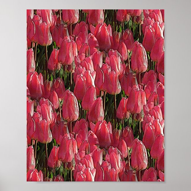 Poster Tulipes roses florales (Devant)