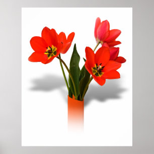 Poster Tulipes rouges dans le Vase