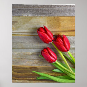 Poster tulipes rouges en bois rustique