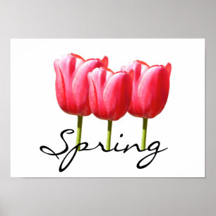 Poster Tulipes Springy