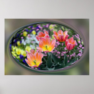 Poster Tulips de golf