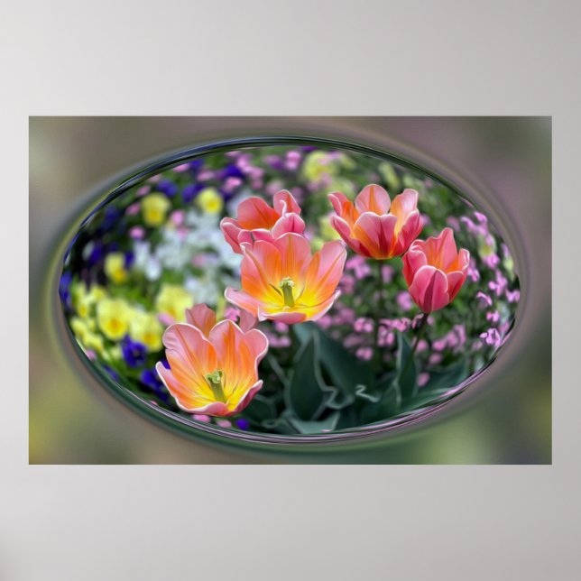 Poster Tulips de golf (Devant)