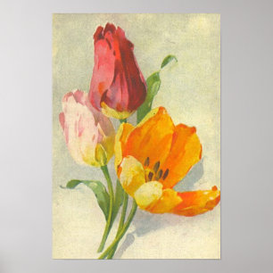 Poster Tulips par Catherine Klein