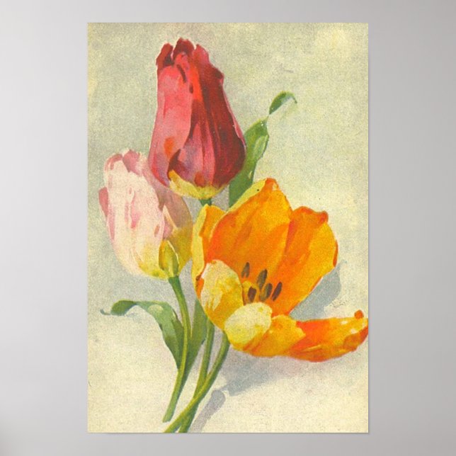 Poster Tulips par Catherine Klein (Devant)