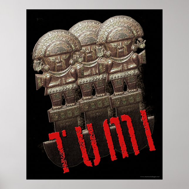 Poster TUMI (Devant)