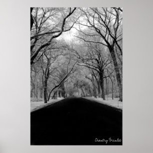 Poster Tunell d'arbre