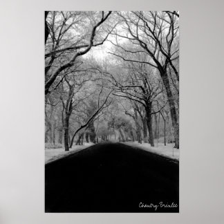 Poster Tunell d'arbre