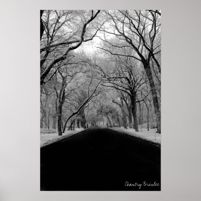 Poster Tunell d'arbre (Devant)