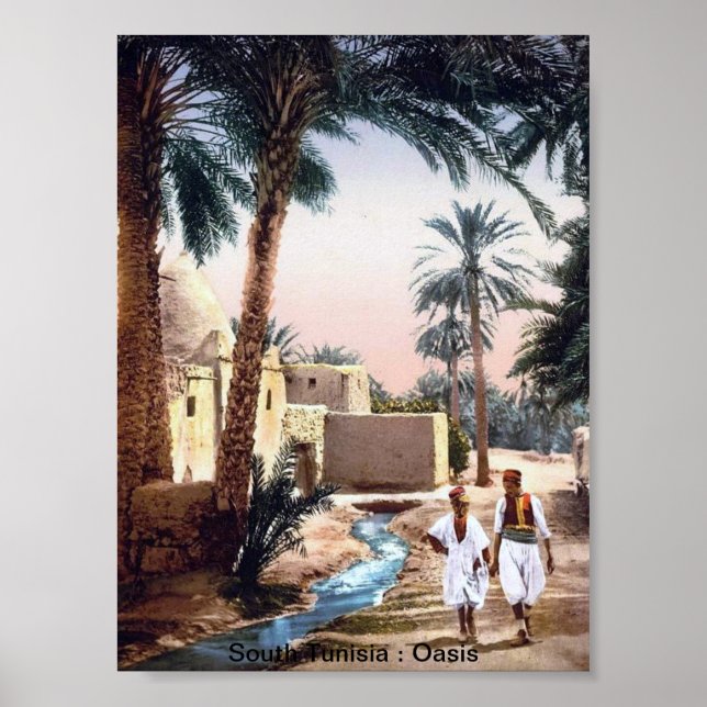 Poster Tunisie vintage : Une oasis (Devant)