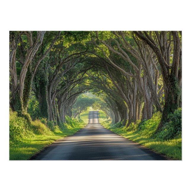 Poster Tunnel d'arbres de Kauai Photographie d'art mural (Devant)