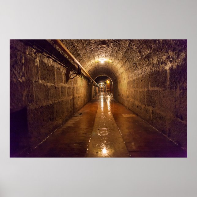 Poster Tunnel de la mine de sel d'Alte Saline (Devant)