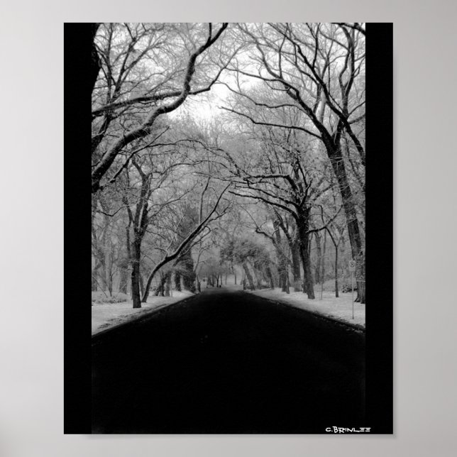 Poster Tunnel de l'arbre (Devant)