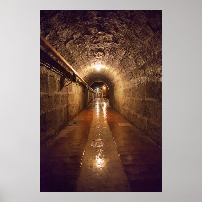 Poster Tunnel de mine de sel léger (Devant)
