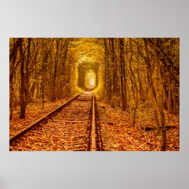 Poster Tunnel ferroviaire de la forêt d'Ukraine Amour pay (Devant)