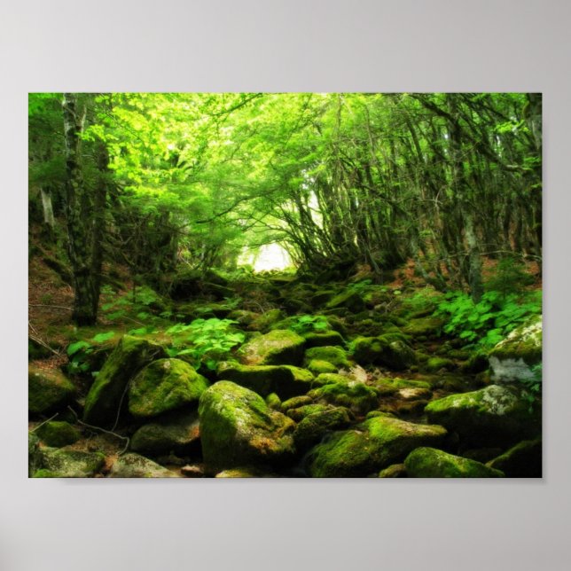 Poster Tunnel vert (Devant)