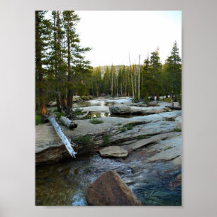 Poster Tuolumne river by campground, yosemite, CA
