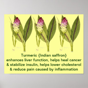 Poster Turmeric