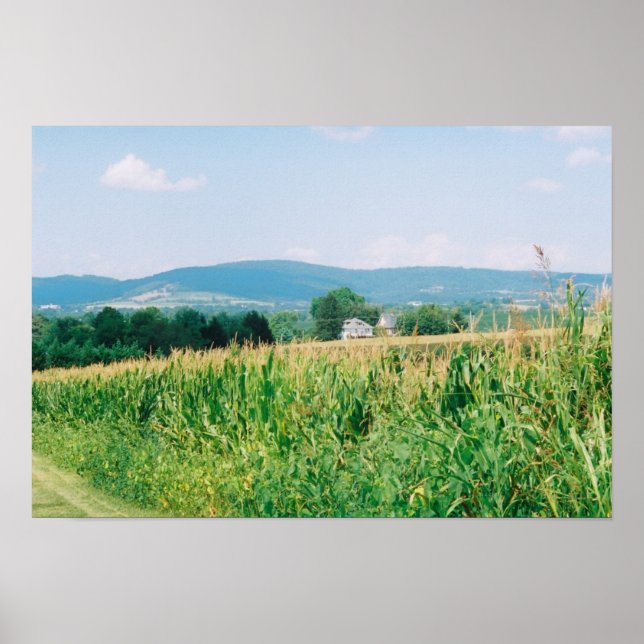 Poster Turner's Gap, South Mountain, Middletown, Md, cg (Devant)